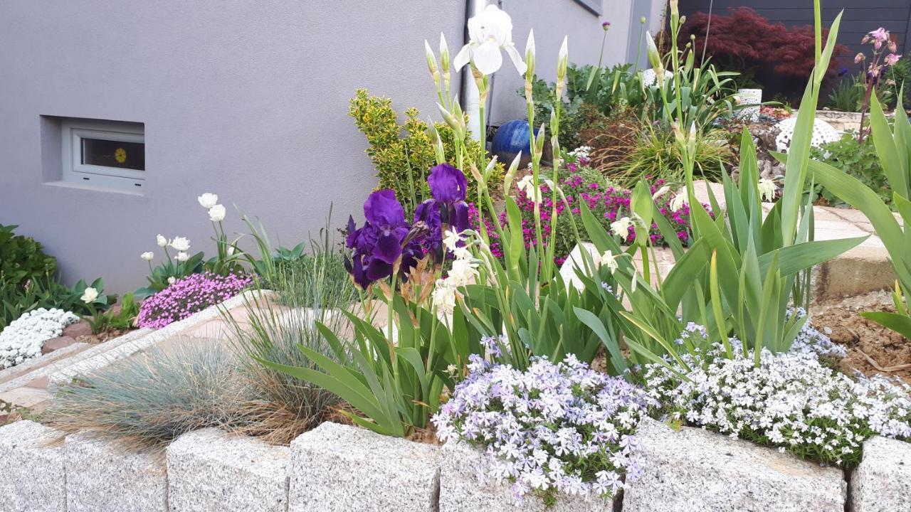 Gite Terre D'Helene 4 A 5 Pers Proche Strasbourg 42 M2, 3 Etoiles, Wifi, Paisible, Jardin, Proche Commerces,16 Atouts, Animaux Acceptes Berstett Luaran gambar