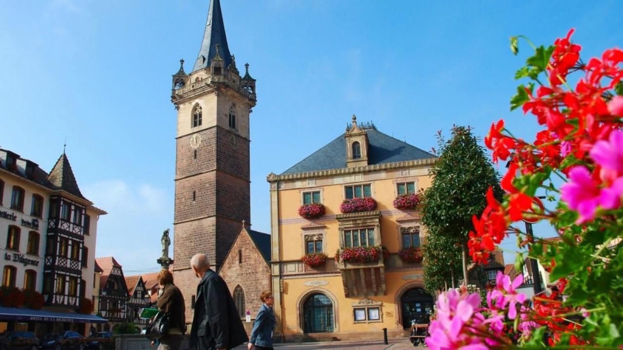 Gite Terre D'Helene 4 A 5 Pers Proche Strasbourg 42 M2, 3 Etoiles, Wifi, Paisible, Jardin, Proche Commerces,16 Atouts, Animaux Acceptes Berstett Luaran gambar