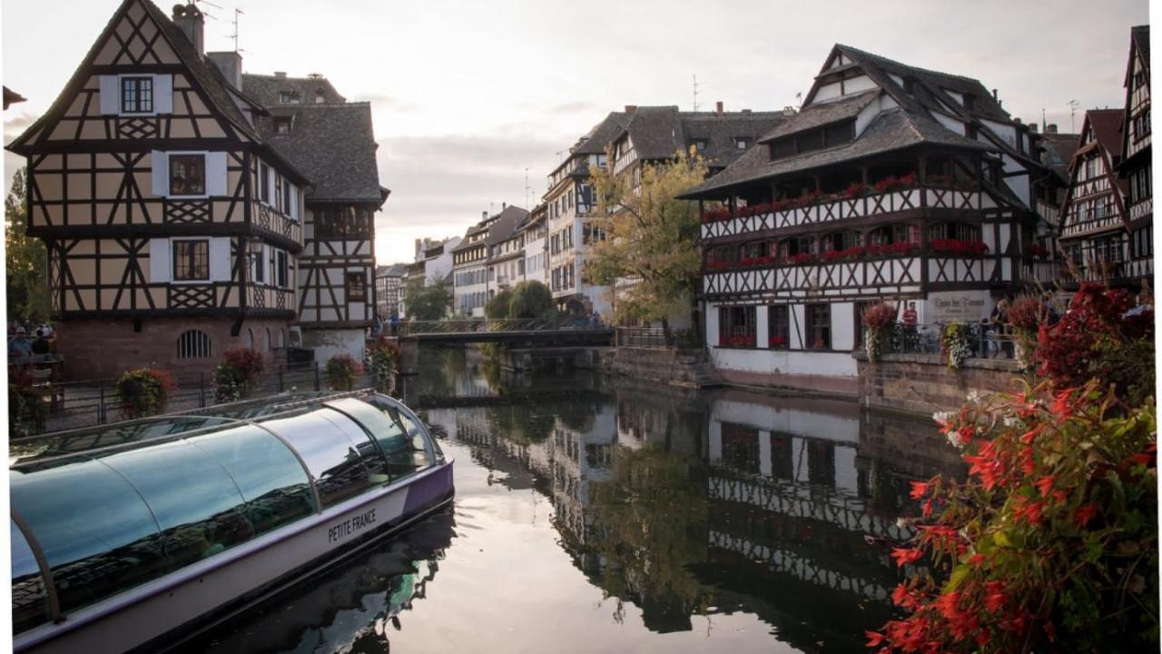 Gite Terre D'Helene 4 A 5 Pers Proche Strasbourg 42 M2, 3 Etoiles, Wifi, Paisible, Jardin, Proche Commerces,16 Atouts, Animaux Acceptes Berstett Luaran gambar