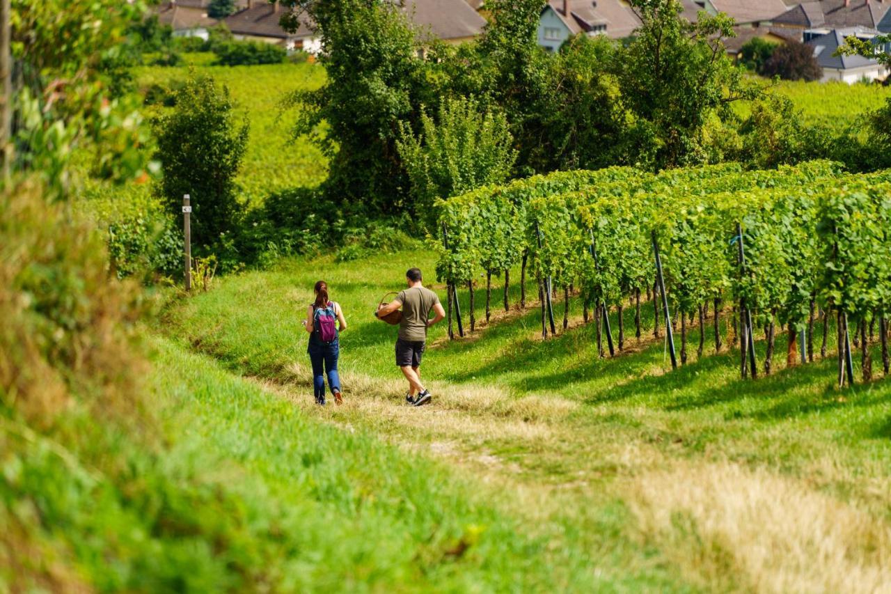 Gite Terre D'Helene 4 A 5 Pers Proche Strasbourg 42 M2, 3 Etoiles, Wifi, Paisible, Jardin, Proche Commerces,16 Atouts, Animaux Acceptes Berstett Luaran gambar
