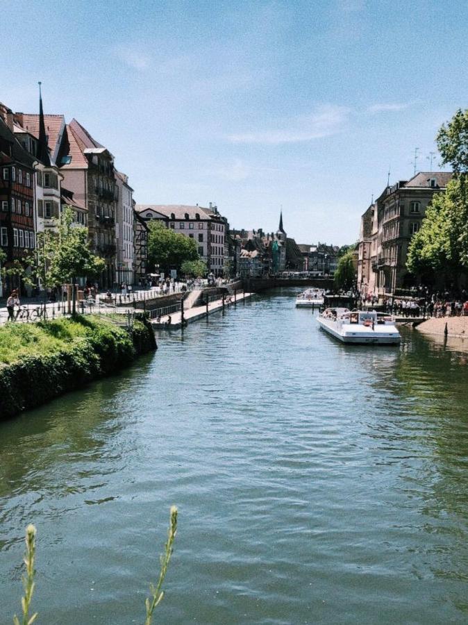 Gite Terre D'Helene 4 A 5 Pers Proche Strasbourg 42 M2, 3 Etoiles, Wifi, Paisible, Jardin, Proche Commerces,16 Atouts, Animaux Acceptes Berstett Luaran gambar