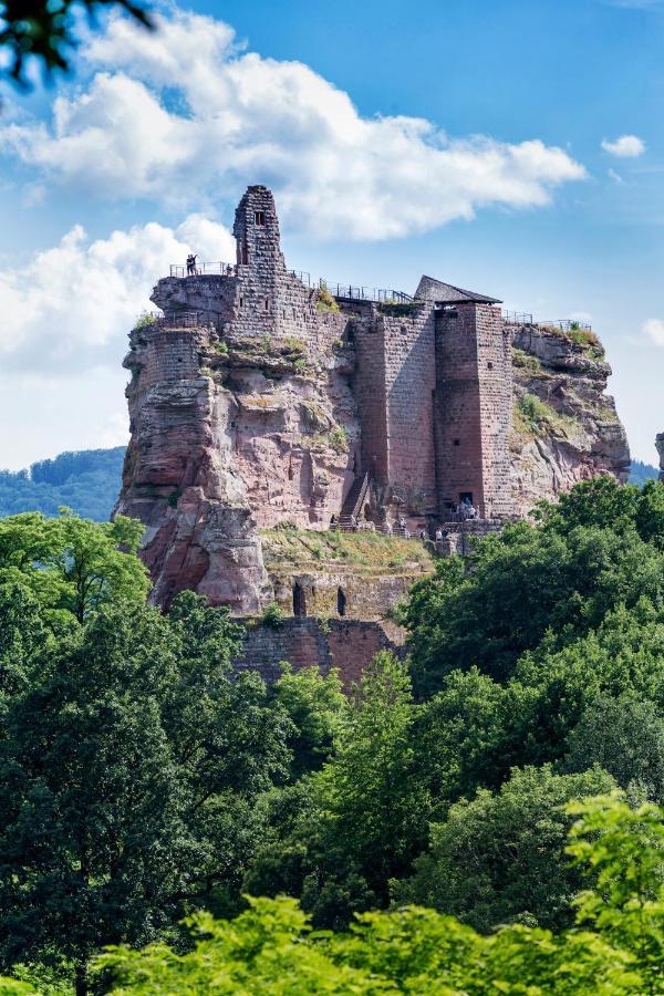 Gite Terre D'Helene 4 A 5 Pers Proche Strasbourg 42 M2, 3 Etoiles, Wifi, Paisible, Jardin, Proche Commerces,16 Atouts, Animaux Acceptes Berstett Luaran gambar